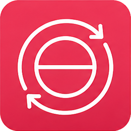 Flip Disk icon